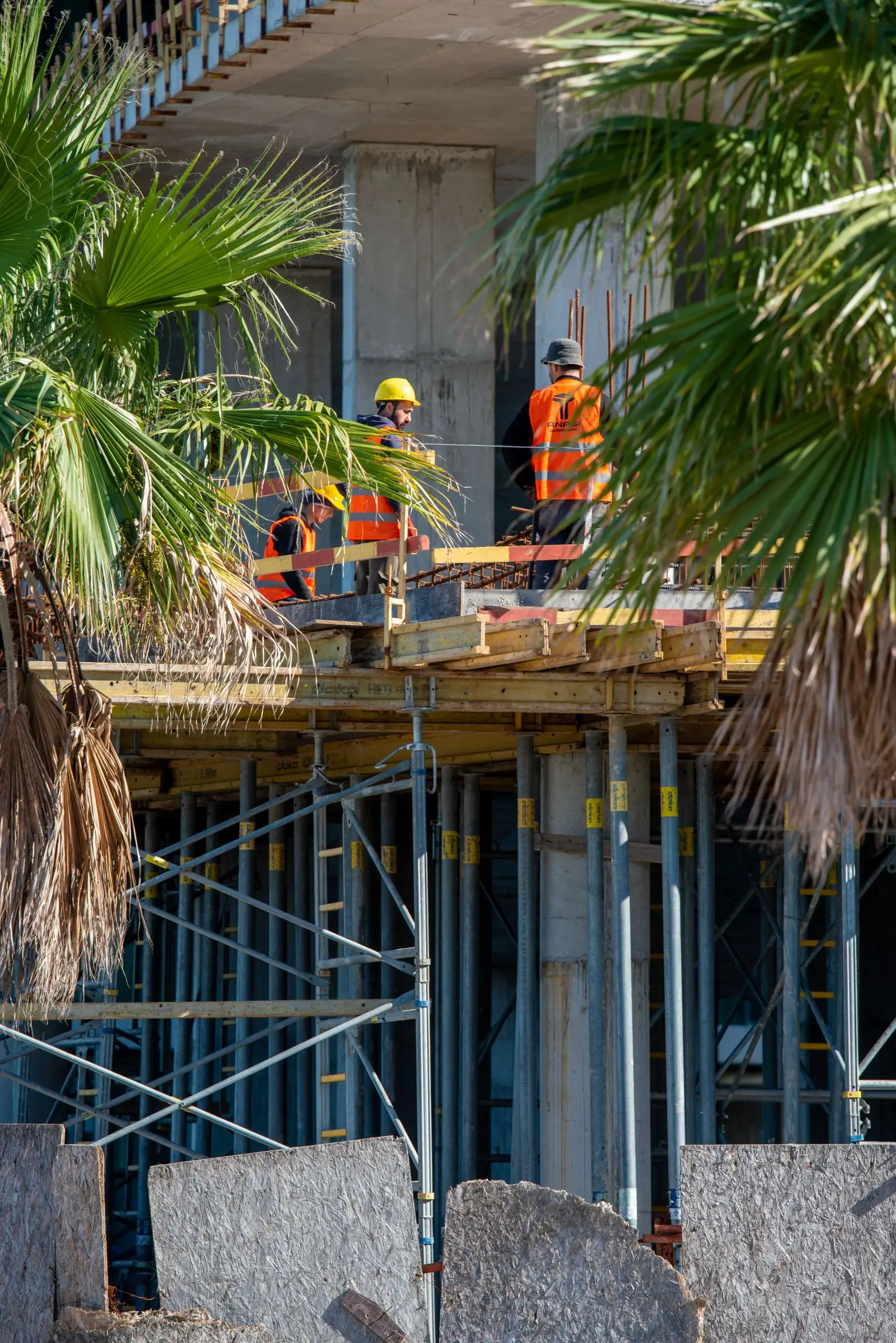 Workers on scaffolding against a building facade, with palm trees in the foreground.